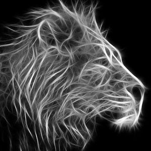 Meet your Posher, Nathan